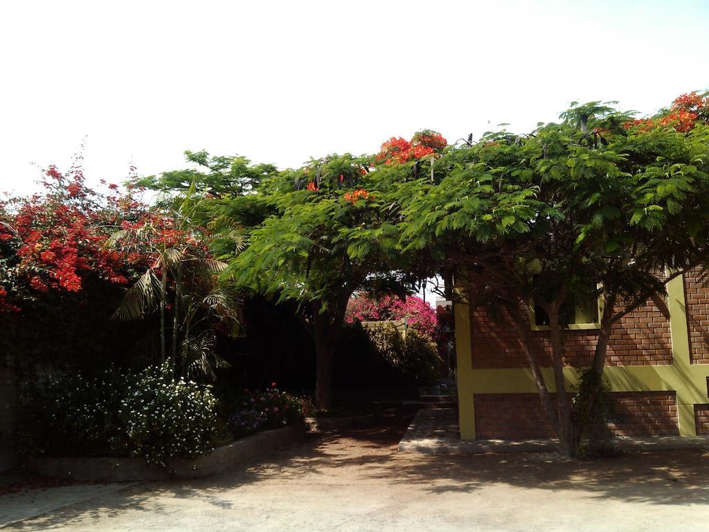 Huaranjapo Bed & Breakfast El Carmen Exterior photo